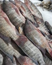 Samaki Sato - Meat fresh GENGE ONLINE